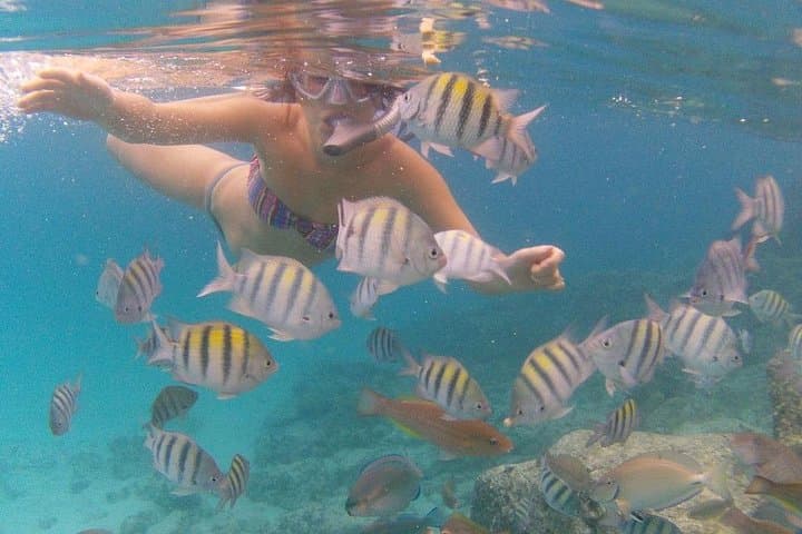 Coki Beach Snorkeling & Mountain Top Sightseeing Tour — St. Thomas USVI