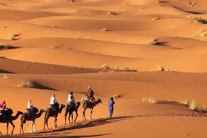 3-Day Merzouga Desert Tour from Marrakech: Camel Ride, Erg Chebbi & Ait Ben Haddou photo 3