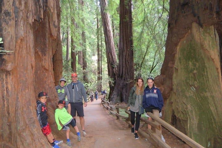 Off-the-Grid Redwoods, Sonoma Wine & the Marin Cheese Trail: A Private Day Tour from San Francisco photo 6