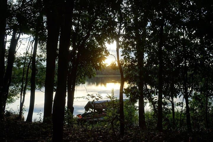 Amazon Jungle Survival Course: 7 Days, 6 Nights from Iquitos photo 3