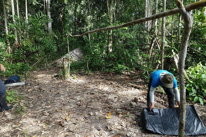 Amazon Jungle Survival Course: 7 Days, 6 Nights from Iquitos photo 2
