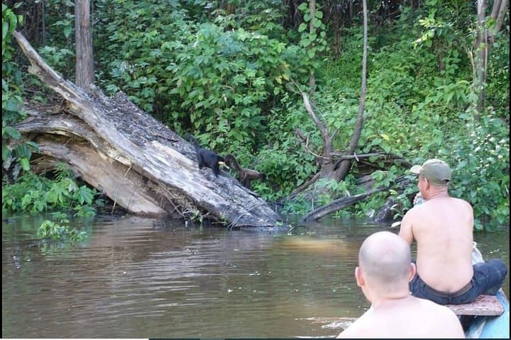 3-Day Amazon Rainforest Adventure from Iquitos: Nauta, Yarapa & Wildlife