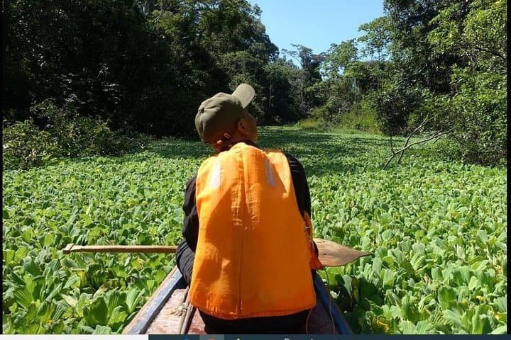 Amazon Jungle Survival Course: 7 Days, 6 Nights from Iquitos