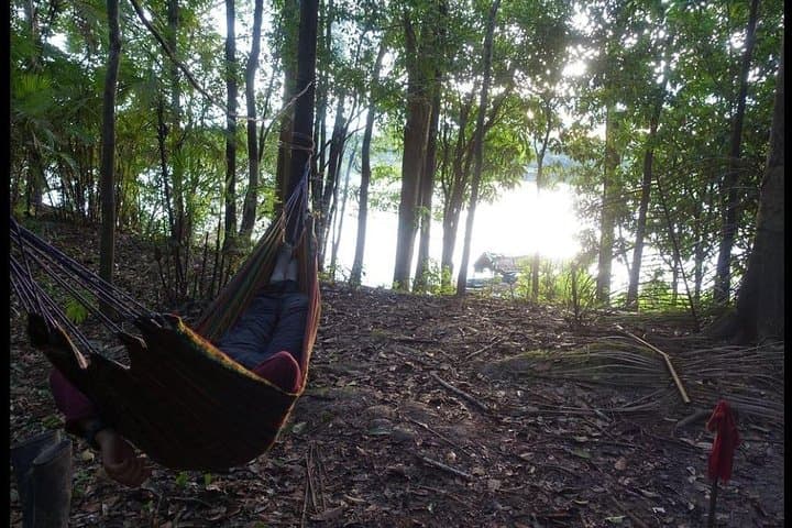 Yarapa River: 4-Day Amazon Jungle Expedition from Iquitos