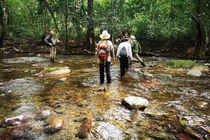 Darien Jungle Trek: 5-Day Playa Muerto & Emberá Village Expedition photo 5