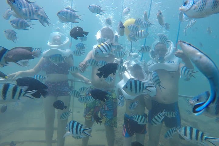Cham Island Sea Trek: Speedboat Snorkeling & Bai Chong Beach Day Trip from Hoi An photo 1