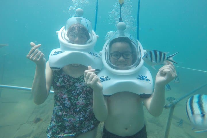 Cham Island Sea Trek: Speedboat Snorkeling & Bai Chong Beach Day Trip from Hoi An photo 3