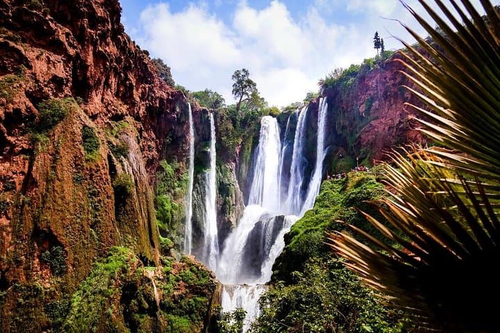 Marrakech to Ouzoud Falls Day Trip: Waterfalls, Barbary Apes & Atlas Foothills photo 2