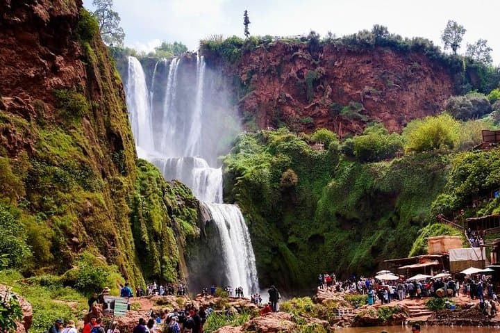 Marrakech to Ouzoud Falls Day Trip: Waterfalls, Barbary Apes & Atlas Foothills photo 5