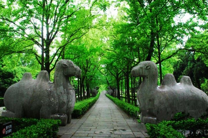 Exploring Nanjing's Purple Mountain: Sun Yat-sen, Ming Xiaoling & Linggu Temple in a Day photo 4