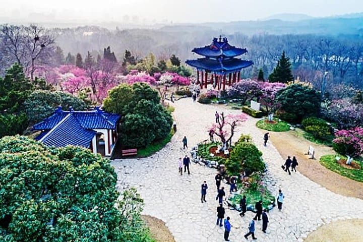 Exploring Nanjing's Purple Mountain: Sun Yat-sen, Ming Xiaoling & Linggu Temple in a Day photo 1