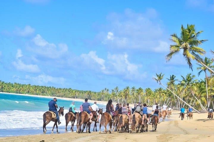 Horseback Riding in Punta Cana: Macao Beach & Montaña Redonda Half-Day Adventure photo 3
