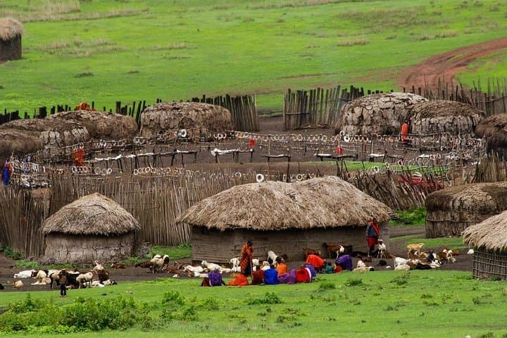 Maasai Boma Day Trip from Arusha — Visit a Traditional Maasai Village photo 2