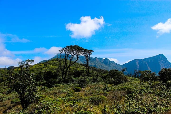 Knuckles Range Hike & Mud Cottage Overnight — Cloud-Forest Trails and Natural Pools
