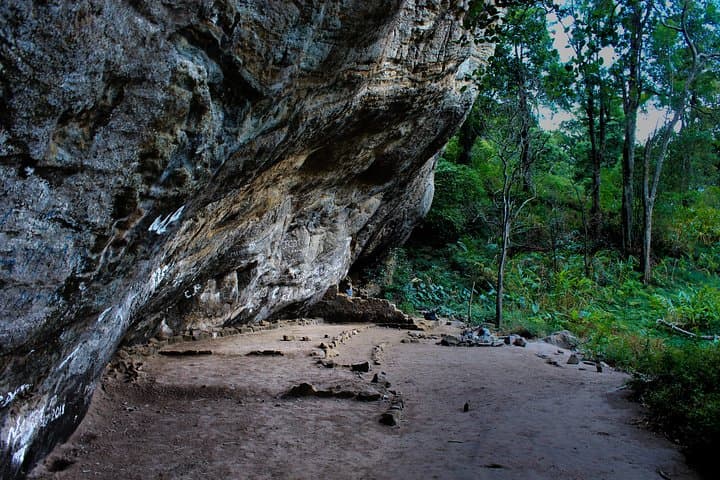 Knuckles Range Day Hike from Kandy: Waterfalls, Tea Fields & Endemic Wildlife photo 3