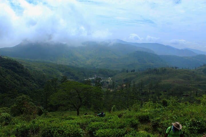 Knuckles Range Day Hike from Kandy: Waterfalls, Tea Fields & Endemic Wildlife photo 5