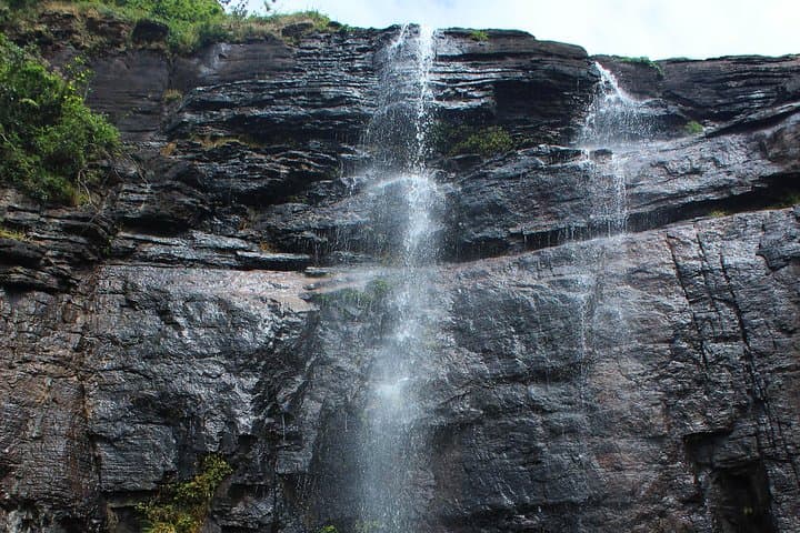Knuckles Range Day Hike from Kandy: Waterfalls, Tea Fields & Endemic Wildlife photo 6