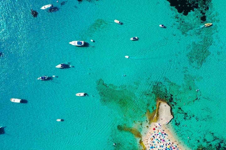 Cala Salada Catamaran Cruise: Snorkelling, Aquarium Stop & Secluded North Coast Beaches photo 6