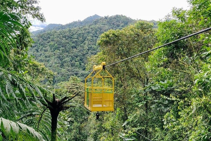 Full-Day Mindo Cloud Forest Adventure from Quito: Waterfalls, Birds & Chocolate