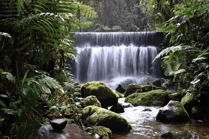 Full-Day Mindo Cloud Forest Adventure from Quito: Waterfalls, Birds & Chocolate photo 2