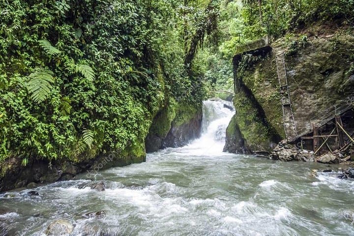 Full-Day Mindo Cloud Forest Adventure from Quito: Waterfalls, Birds & Chocolate photo 3