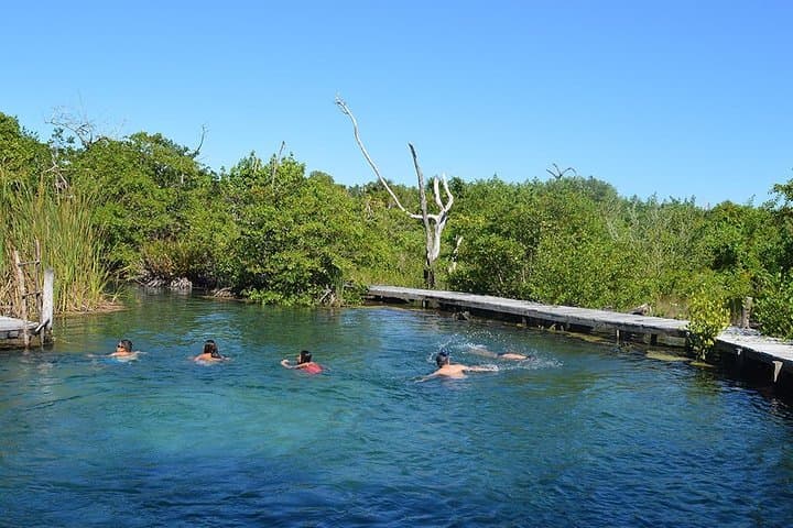 Holbox Day Trip: Yalahau Cenote, Passion Island & Punta Mosquito (Transport Included) photo 2