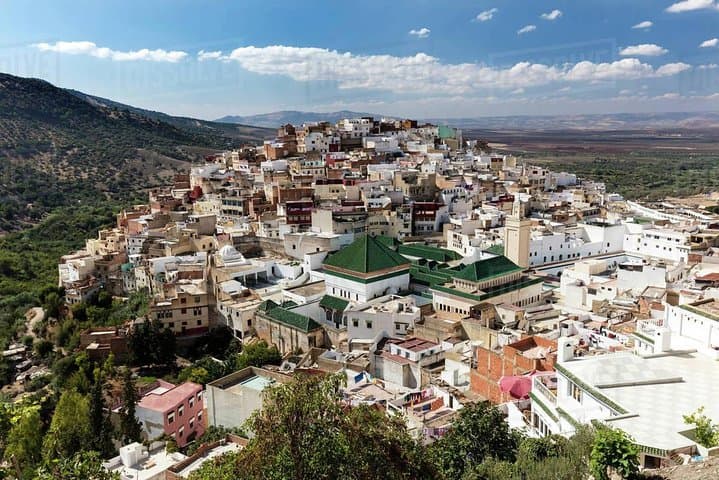 From Fez to Volubilis and Meknes: A Private Day Trip to Roman Ruins and Imperial Gates photo 2