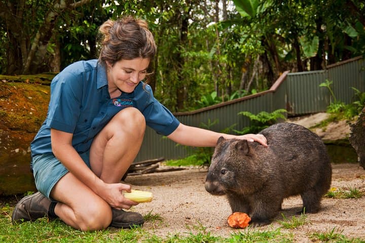 Kuranda Koala Gardens: See Koalas, Bilbies & Nocturnal Marsupials Near Cairns photo 2