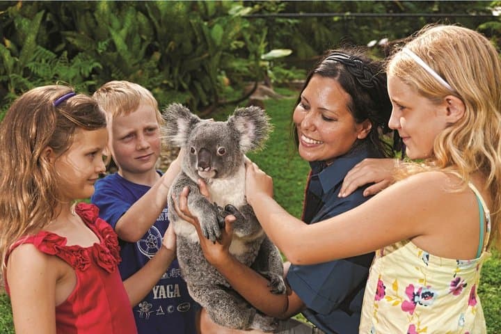 Kuranda Koala Gardens: See Koalas, Bilbies & Nocturnal Marsupials Near Cairns photo 4