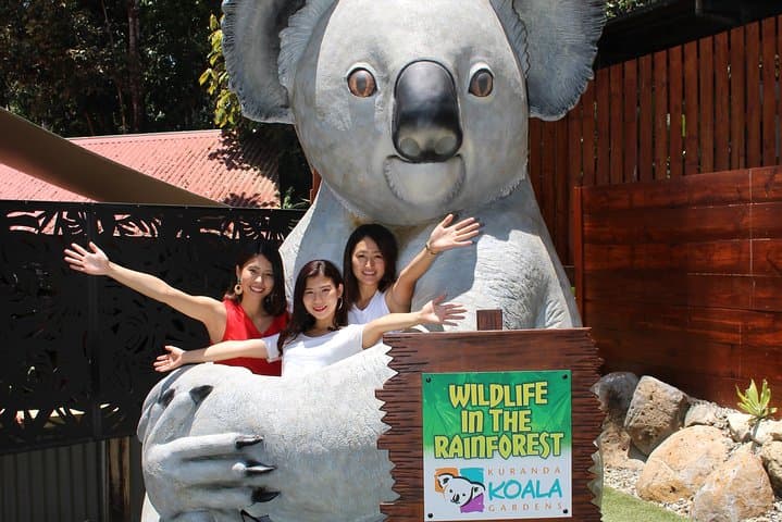 Kuranda Koala Gardens & Birdworld: Close Encounters in Tropical North Queensland photo 2