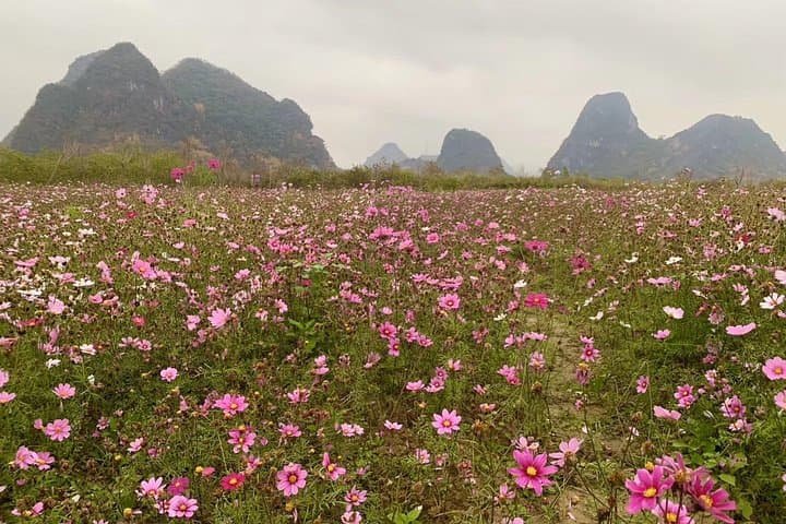 Gulong Canyon & Yingde Peak Corridor: 2-Day Private Overnight from Guangzhou photo 4