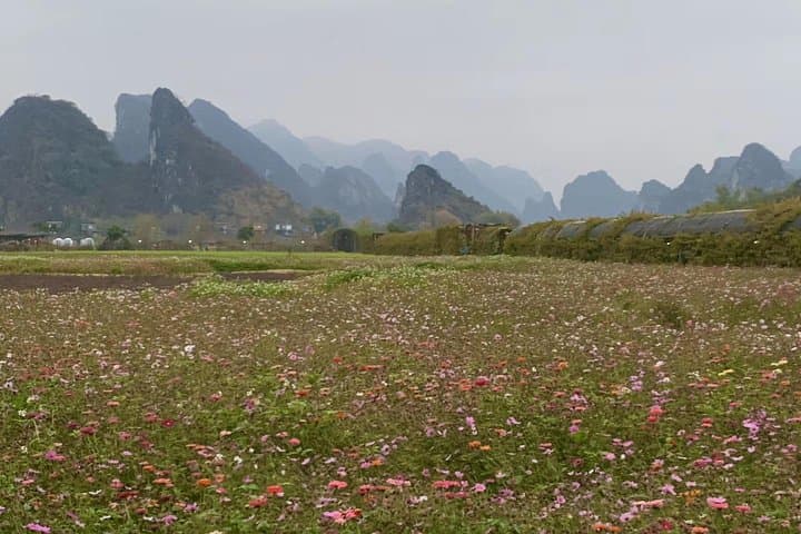 Gulong Canyon & Yingde Peak Corridor: 2-Day Private Overnight from Guangzhou photo 5