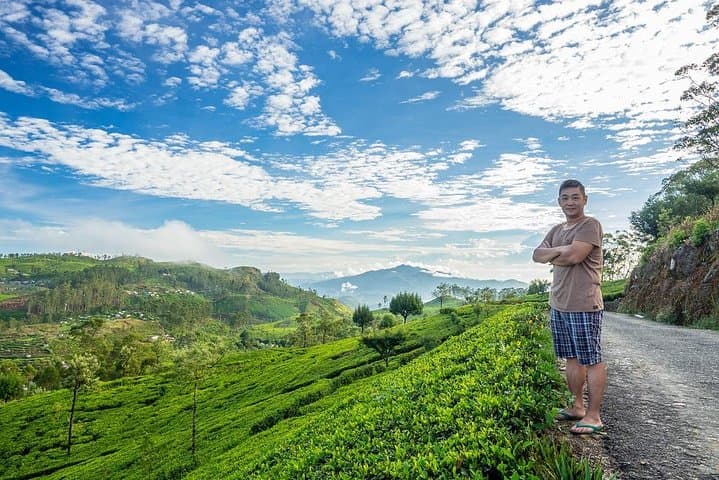 Lipton's Seat & Dambatenna Tea Factory Day Tour from Ella — Highland Views and Tea-Making photo 2