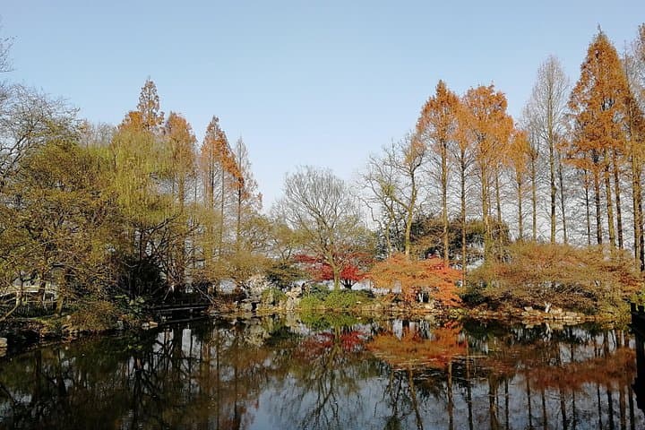 Classic Hangzhou Day Tour: West Lake Cruise, Longjing Tea & Imperial Kilns photo 2