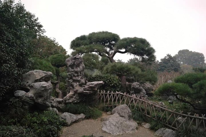 Classic Hangzhou Day Tour: West Lake Cruise, Longjing Tea & Imperial Kilns photo 3