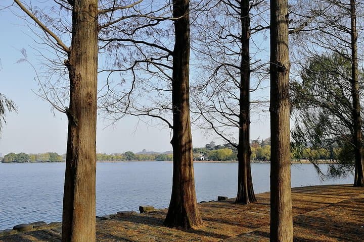 Classic Hangzhou Day Tour: West Lake Cruise, Longjing Tea & Imperial Kilns photo 4