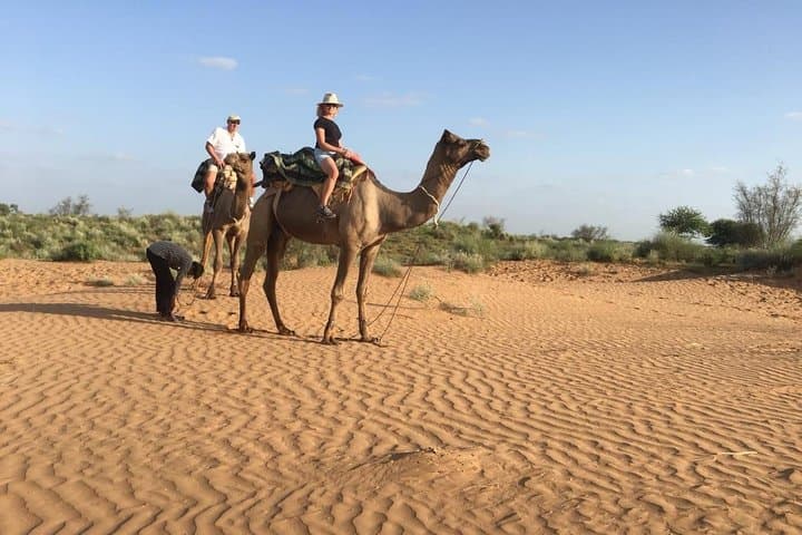 Osian Sunset Camel Safari and Sachiya Mata Temple Walk — Half-Day Desert Experience photo 3