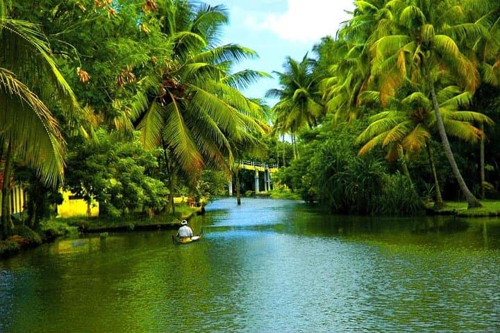 Kerala in 6 Days: Kochi, Backwaters & Kovalam Private Tour photo 5