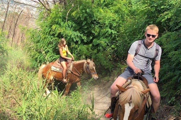 Horseback Riding Mount Vesuvius: Volcano Views & Local Wine Tasting photo 6