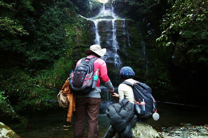 Prashar Lake Trek: Pagoda Temple, Floating Island & Himalayan Views photo 4