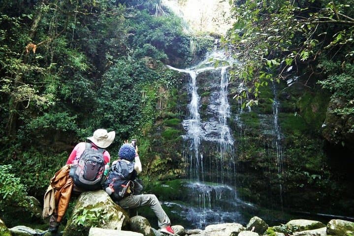Prashar Lake Trek: Pagoda Temple, Floating Island & Himalayan Views photo 5
