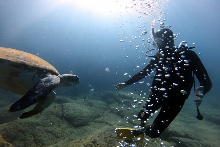 PADI Scuba Diver Course in Costa Adeje — Learn to Dive in Tenerife photo 2
