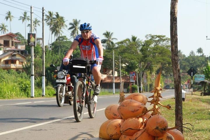 Countryside Cycling Tour from Colombo — 24 km Through Wetlands, Paddy Fields & Kelaniya Temple photo 3