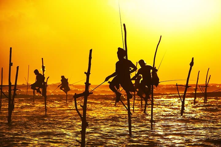 southern-sri-lanka-private-day-trip-galle-madu-river-turtles