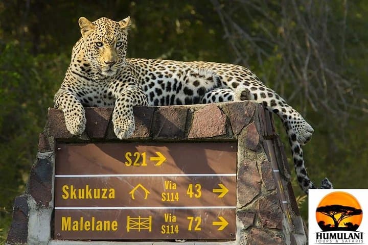 4-Day Kruger National Park Safari & Panorama Route: Hazyview to Blyde River Canyon photo 1