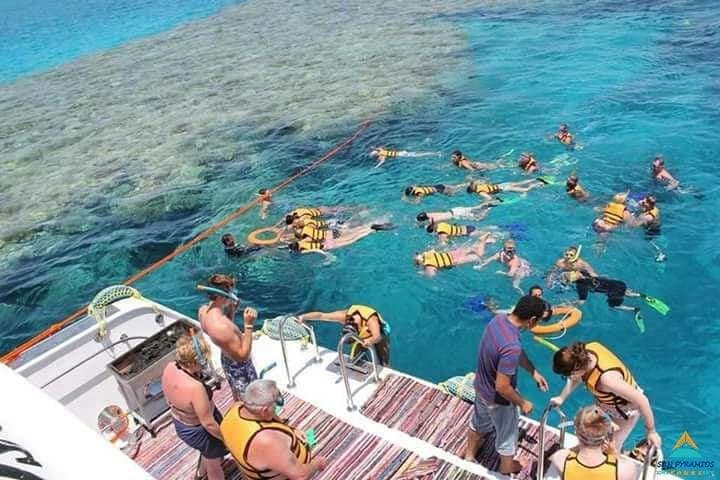 Sharks Bay Diving Trip — Red Sea Coral Dives from Sharm El Sheikh photo 4
