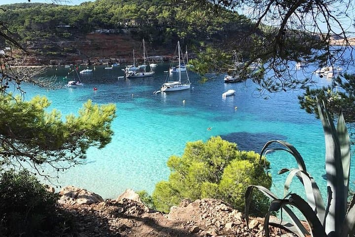 Cala Salada Catamaran Cruise: Snorkelling, Aquarium Stop & Secluded North Coast Beaches photo 4