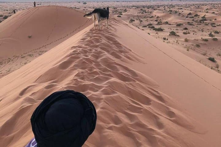 Desert Nights at Merzouga: Camel Treks, Nomad Camps & Erg Chebbi Dunes photo 3