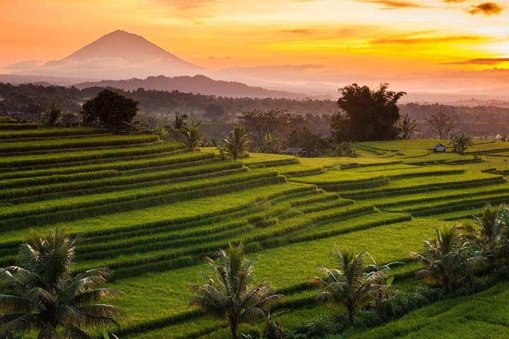 Jatiluwih Rice Terraces, Ulun Danu & Banyumala: Shared Day Tour from Ubud photo 2