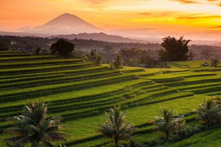 North Bali Day Tour — Jatiluwih Rice Terraces, Ulun Danu & Bayumala Waterfall photo 2